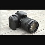 Profile Picture of Angelo Vincent Schiavone (@jellopictures) on Instagram