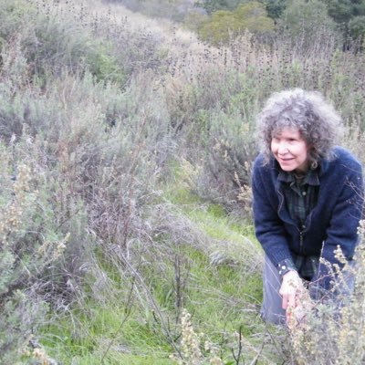 Profile Picture of Sandra DeSimone (@SandraDeSimone7) on Twitter