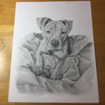 Profile Picture of Nancy Ault (@nault08) on Instagram