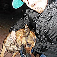 Profile Picture of Michael Leli (@michael-leli) on Quora