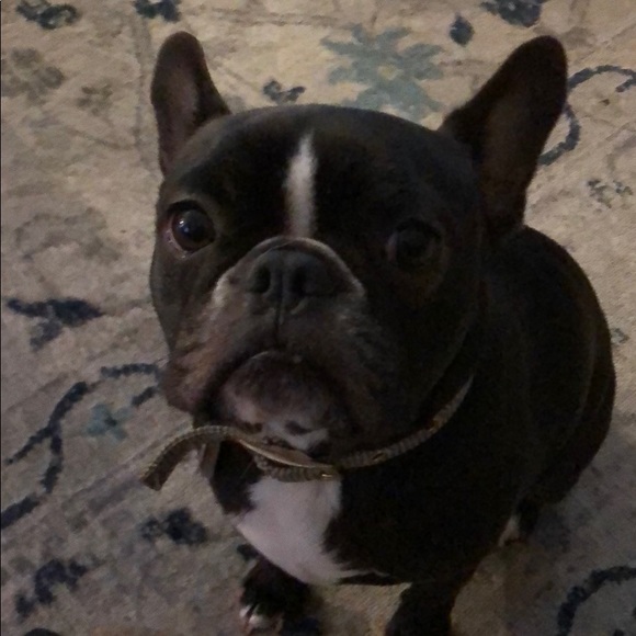 Profile Picture of Lisa Urchuk (@chuk_chick) on Poshmark