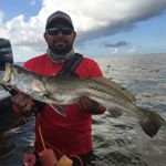 Profile Picture of Greg Sandoval (@greg_1124) on Instagram