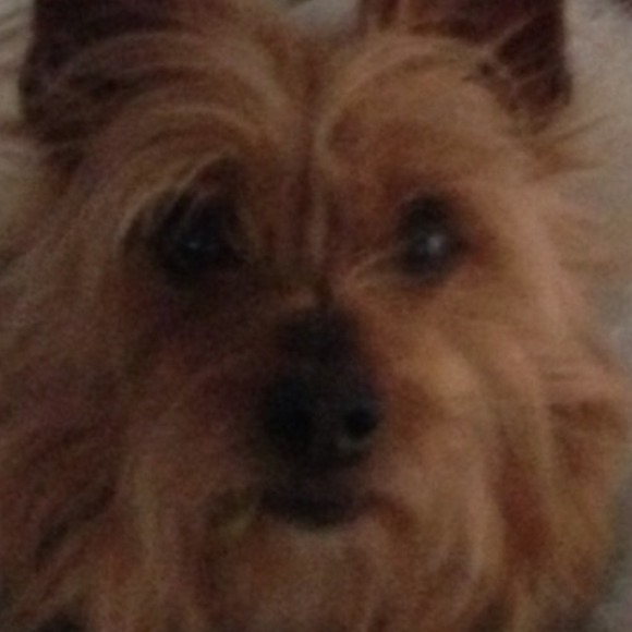 Profile Picture of Dawn Caviola (@dawn53) on Poshmark