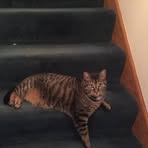 Profile Picture of Geri Baumgartner (@geri.baumgartner.1) on Facebook