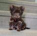 Profile Picture of Judith Holden (@judith.holden) on Facebook