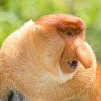 Profile Picture of Joseph Little (@joseph-little-74) on Quora