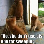 Profile Picture of Crystal Toledo (@toledo650) on Instagram