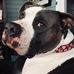Profile Picture of Lisa Womack (@lisa.womack.507) on Facebook