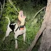 Profile Picture of Rick Lynch (@@ricklynch) on Tiktok