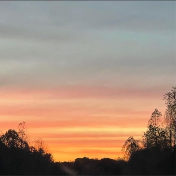 Profile Picture of Mericus Betterley (@mericus168) on Poshmark