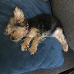 Profile Picture of Beth Watson (@elizabeth.watson.71) on Instagram