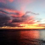 Profile Picture of Patrick Boynton (@boyboyjamjam) on Instagram