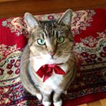 Profile Picture of Michelle McMath (@madamemcawesome) on Instagram