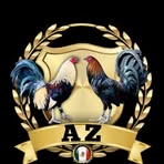 Profile Picture of Alex Pintor (@alex.pintor.86634) on Facebook