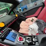 Profile Picture of Wonjae Choi (@wonjae.choi.2024) on Facebook