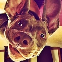 Profile Picture of Brent Townsend (@brent-townsend-5) on Quora