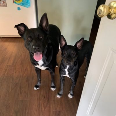 Profile Picture of Michael Ridenhour (@MikeJRiden) on Twitter