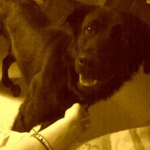 Profile Picture of Buddy White (@imrachelsdog) on Myspace