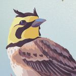 Profile Picture of Brendan Marnell (@bren.marn) on Instagram