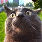 Profile Picture of Vaughn Roberts (@vaughn.roberts.5) on Facebook