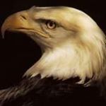 Profile Picture of Steve Trask (@strask456) on Instagram