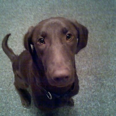 Mike Romagnoli - Twitter Profile Picture of Mike Romagnoli (@MikeRomagnoli) on Twitter