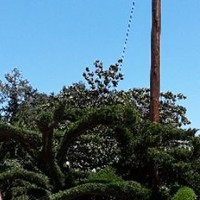 Profile Picture of Cesar Limon (@cesar-limon-2) on Quora