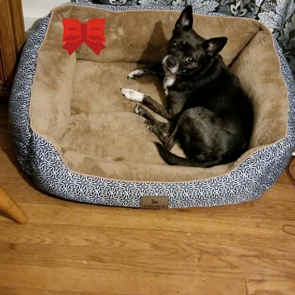 Profile Picture of Jennifer Cruse (@jenny7091) on Poshmark