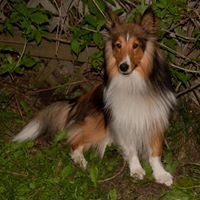 Profile Picture of Theresa Mcdonald (@theresa-mcdonald-12) on Quora
