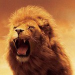 Profile Picture of Chadrousseau (@chadrousseau12) on Instagram