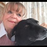 Profile Picture of Barbara Ross (@bcross1952) on Instagram