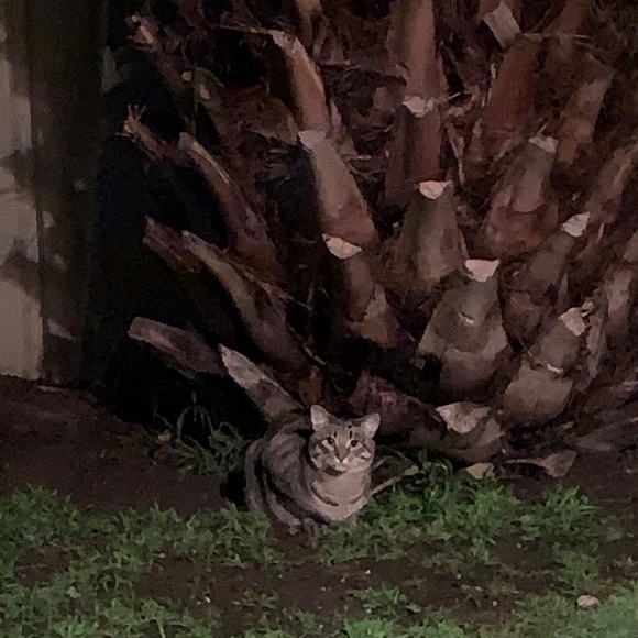 Profile Picture of Pamela Maillard (@pamelamaillard) on Poshmark