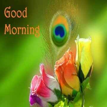 Stephen John "Mahi" - Twitter Profile Picture of Stephen John "Mahi" (@StephenJohnMah1) on Twitter