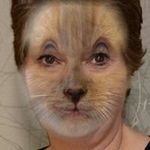 Profile Picture of Shirley Ann Royle (@shirley.royle.54) on Instagram