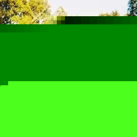 Profile Picture of Audri Harden (@honiicakes_boo) on Myspace