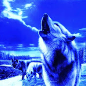 Profile Picture of Anthony Norton (@anthonynorton4243) on Youtube