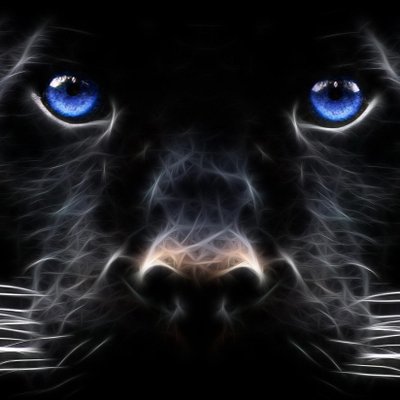 Profile Picture of Stephen Perry (@steveperrii) on Twitter