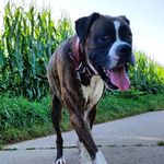 Profile Picture of Robert Rott (@robert.rott.3) on Instagram