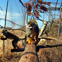 Profile Picture of Gemma Wilkinson (@gemma-wilkinson-2) on Quora