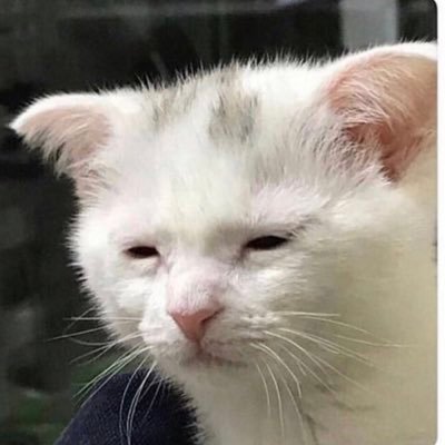 Profile Picture of Mark Temple (@MarkWTemple) on Twitter