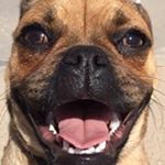 Profile Picture of James Hussmann (@i_b_huss) on Instagram