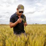 Profile Picture of Jonathan Ribarola (@jonathanribarola) on Instagram