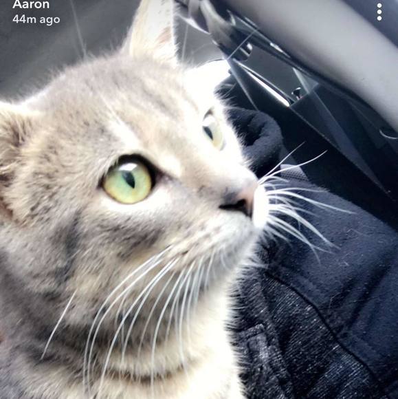 Profile Picture of Aaron Noyes (@aaron9797) on Poshmark