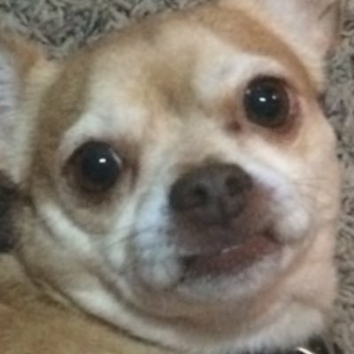 Profile Picture of Jon Rhoades (@JonJonrhoades75) on Twitter
