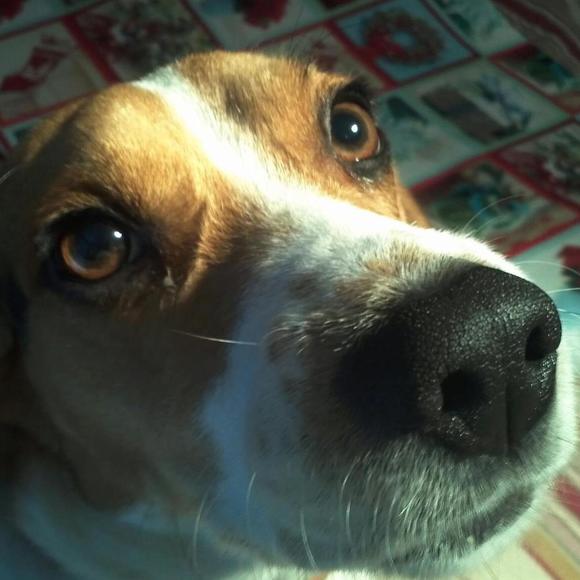 Profile Picture of Michael Williamson (@mkewilliamson) on Poshmark