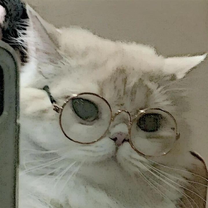 Profile Picture of John Rollon (@johnrollon2) on Tiktok