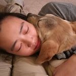 Profile Picture of Luyang Liu (@liu.lu.yang) on Instagram