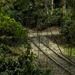 Profile Picture of Carlos Arturo Corredor Malaver (@artcorredor) on Flickr