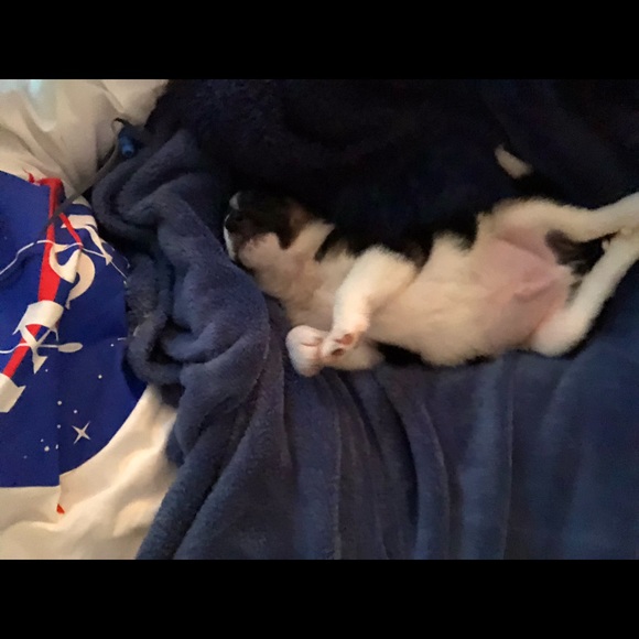 Profile Picture of Elena Nabejar (@enenamarie) on Poshmark