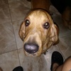 Profile Picture of Ruben albert (@@rubencruzzatt) on Tiktok